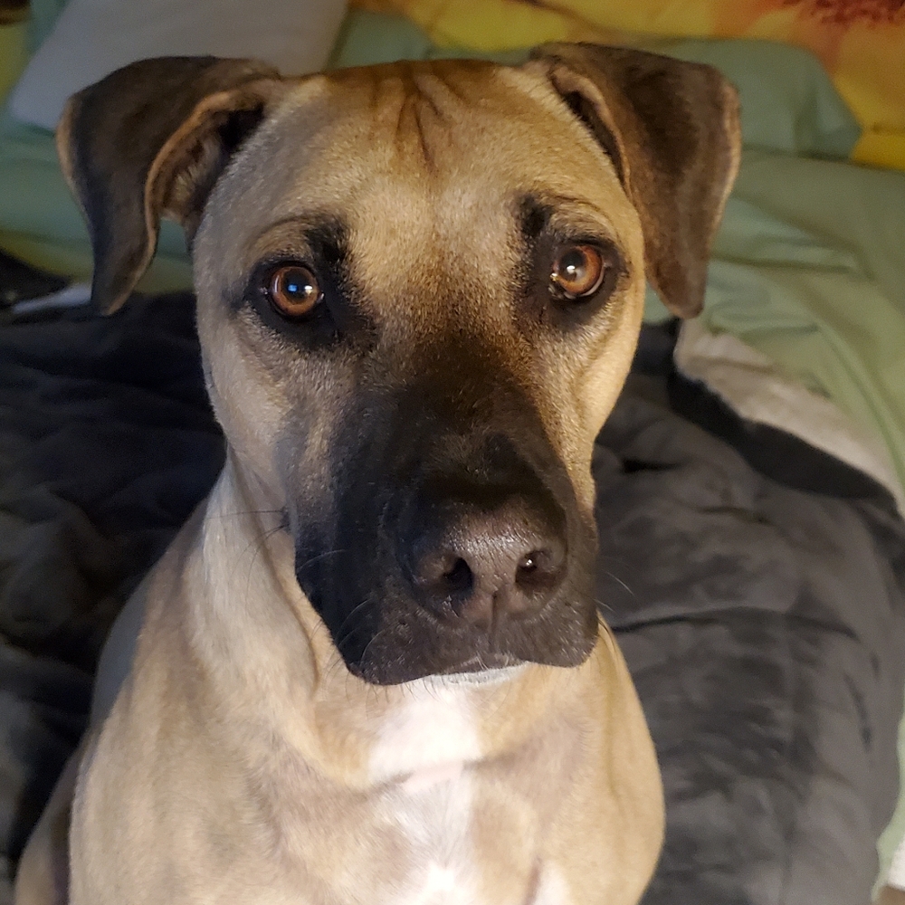 Jamiet5 is Live - Picture 6 of 15